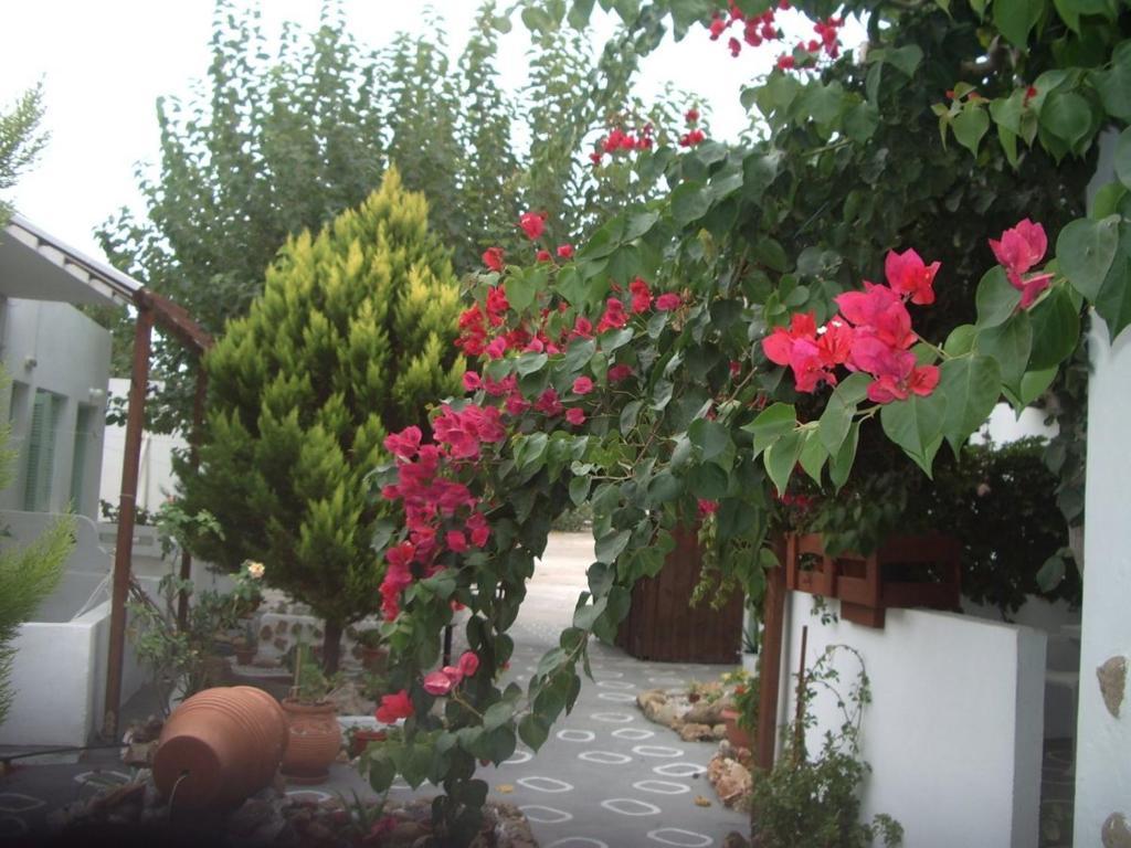 Skyros Panorama Studios Екстер'єр фото