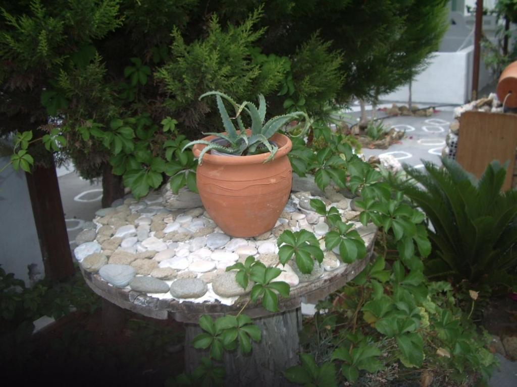 Skyros Panorama Studios Екстер'єр фото
